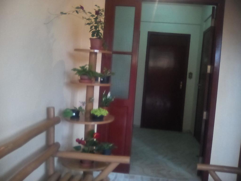 فندق Florianópolisفي  Residencial Dona Vilma المظهر الخارجي الصورة